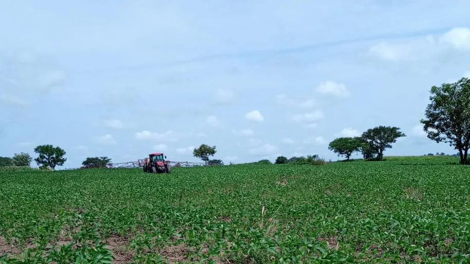 An establishing view of Normah's farm at Bana Trading Centre, Amuru District.