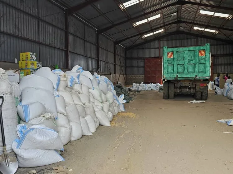 Inside Normah's grain warehouse at Amuru, with bagged grain in storage.