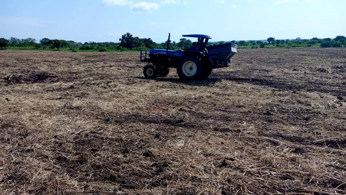 A field being worked into crop residue as part of Normah's soil-first agronomy.
